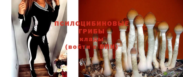 гидра Кукмор