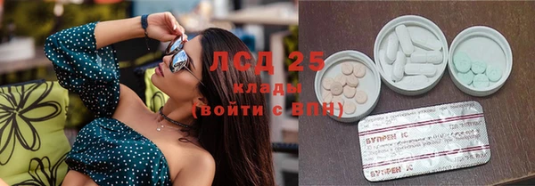гидра Кукмор