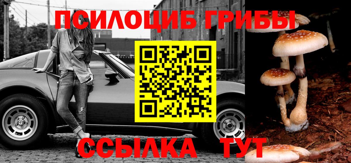 где купить наркоту  Ялта  Галлюциногенные грибы Magic Shrooms  Псилоцибиновые грибы Magic Shrooms 
